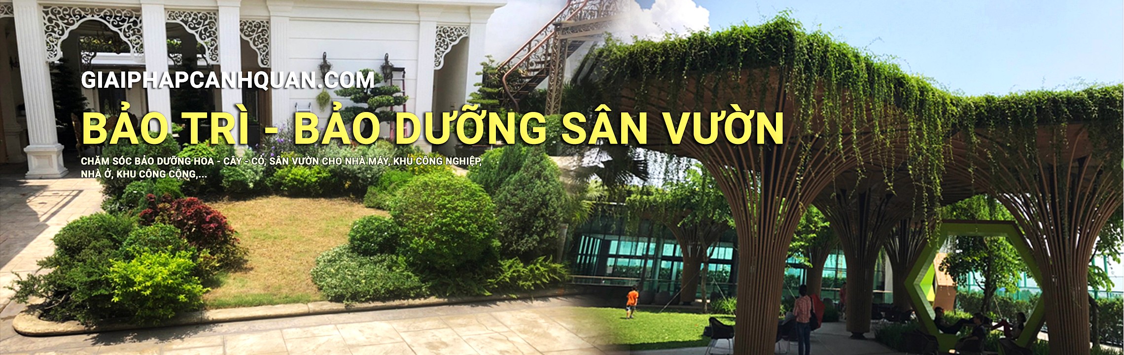 Dịch vụ chăm sóc sân vườn - BeeSo