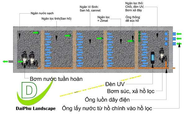 Bản vẽ mặt bằng hệ thống lọc hồ cá koi