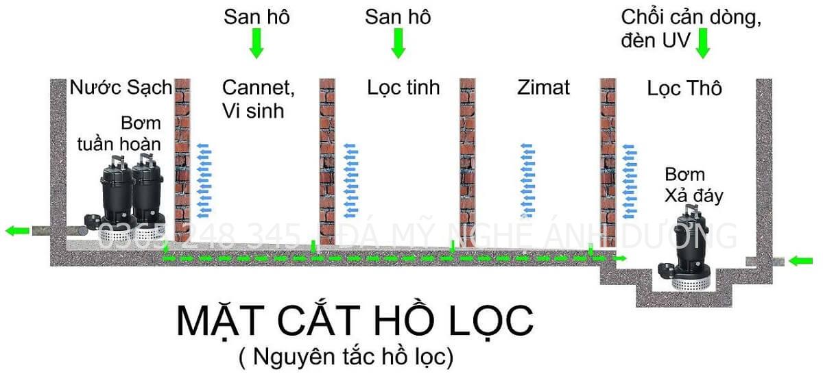 Bản vẽ hồ lọc hồ cá koi đúng chuẩn 5 ngăn
