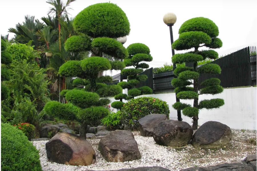 Ý nghĩa của việc bố trí cây cảnh trước nhà