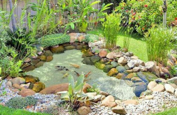 Hồ cá koi