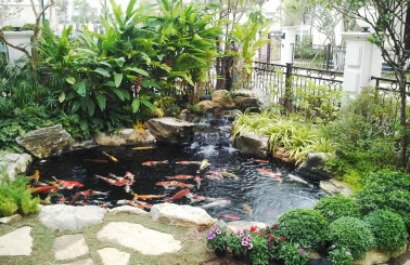 Dịch vụ thi công sân vườn chuyên nghiệp Hồ Chí Minh