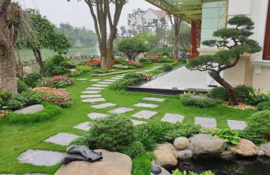 Đơn vị thi công sân vườn biệt thự Phú Nhuận nào uy tín