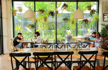 Thi Công Tiểu Cảnh Quán Cafe Với Xu Hướng Sống Xanh Trong Năm 2025
