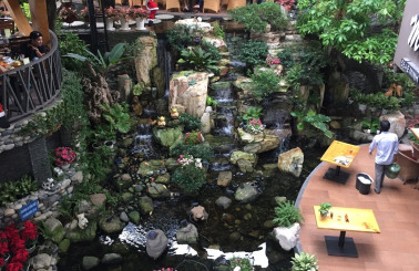 Dịch vụ tặng kèm chỉ đơn vị chuyên thiết kế thi công tiểu cảnh mới có