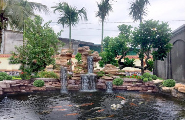 Địa chỉ thiết kế hồ cá Koi ngoài trời giá tốt 2021