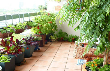 Nguyên tắc thi công tiểu cảnh chung cư đơn giản – hiệu quả bất ngờ