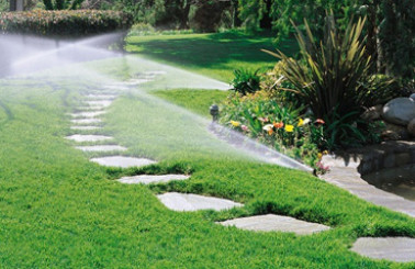 Hệ Thống Tưới Tự Động Sân Vườn