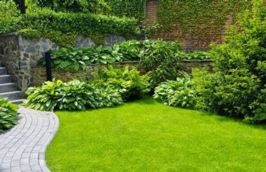 Những chi tiết nên thêm vào khi thi công sân vườn biệt thự Thủ Đức