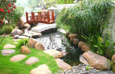 Mẫu hồ cá Koi ngoài trời đẹp – thiết kế phong thủy