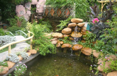 Có nên thi công sân vườn biệt thự quận 12 kết hợp hồ nước hay không?