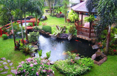 Nhận thiết kế và thi công tiểu cảnh Bình Dương trọn gói giá rẻ