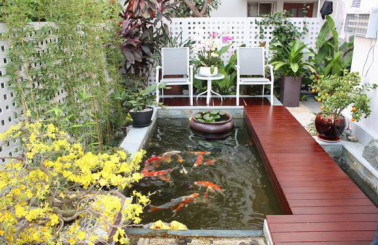 Mẫu hồ cá koi đẹp nhất trên thị trường hiện nay
