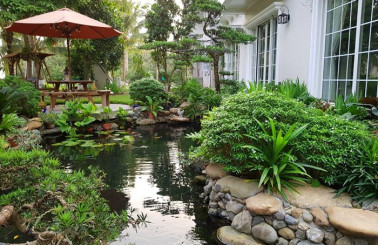 Đơn vị thi công thiết kế hồ cá koi sân vườn đẹp