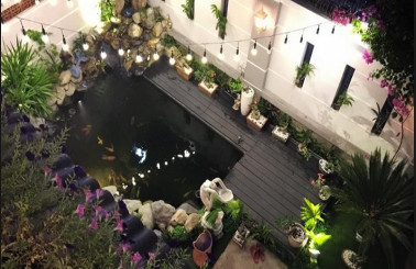 Cập nhật ngay không gian lý tưởng để sở hữu hồ cá Koi nhỏ đẹp