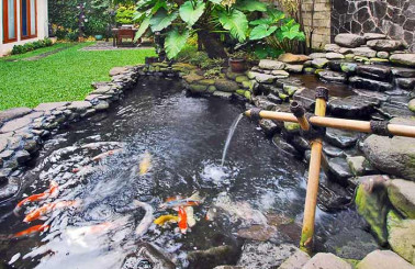 Chi tiết các vật liệu làm hồ cá koi an toàn