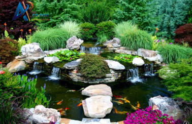 Làm sao để giảm chi phí làm hồ cá Koi nhưng vẫn đảm bảo chất lượng?