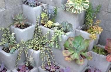 Mẫu tiểu cảnh sân vườn hoa sen độc lạ, dễ thiết kế