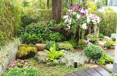 Các lưu ý trong thiết kế để có tiểu cảnh sân vườn đẹp