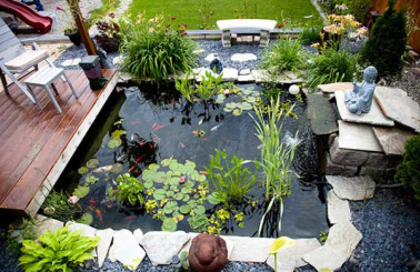 Nhớ ngay 5 điều để hồ cá tiểu cảnh sân vườn luôn đẹp và an toàn