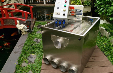 Xem ngay【Cách xử lý nước hồ cá bị đục hiệu quả nhất】năm 2021