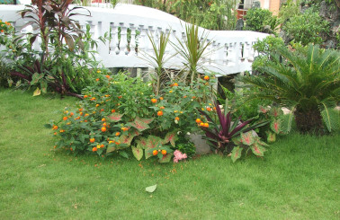 Thiết kế nhà hàng sân vườn