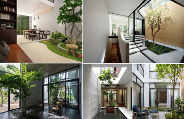 Thiết kế nhà ống sân vườn đẹp và tiện nghi cho mọi diện tích
