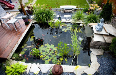 Nhận thiết kế hồ cá Koi mini trên sân thượng nhanh, đẹp, giá rẻ