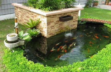 Nhận thiết kế hồ cá Koi nhỏ theo yêu cầu