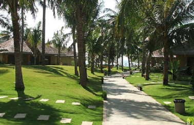 Thi Công Sân Vườn Biệt Thự Đẹp, Trọn Gói Giá Rẻ Nhất 2025.