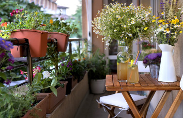 Thi công tiểu cảnh ban công tại HCM – thi công ngay trong 24h