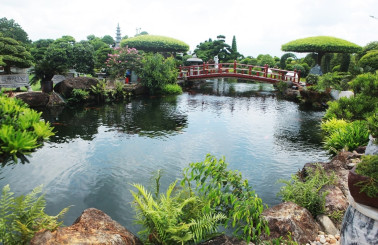 Dịch vụ thiết kế hồ cá koi tại Bình Thạnh trọn gói giá rẻ 2021