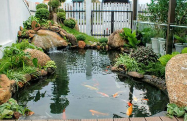 Mách bạn cách thiết kế hồ cá koi tại Quận 2 rẻ-đẹp 2021