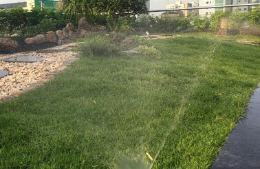 Vườn sân thượng || Thiết kế đẳng cấp số 1 từ Chúng tôi