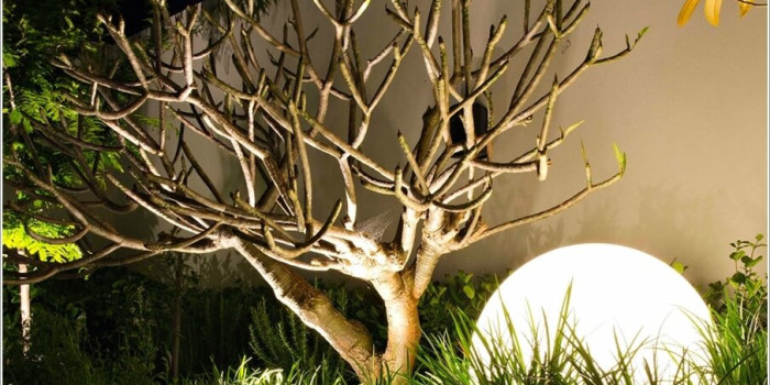 Quy trình thi công cảnh quan từ A đến Z – BeeSo Landscape Design