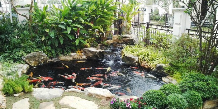 Dịch vụ thi công sân vườn chuyên nghiệp Hồ Chí Minh