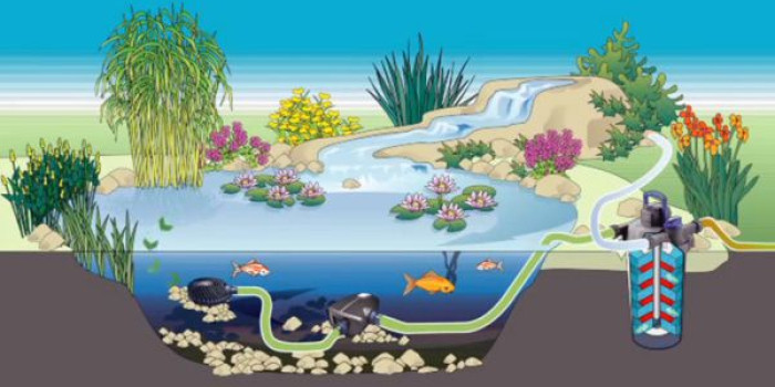 Giải đáp giúp bạn câu hỏi: Tại sao nên làm lọc hồ cá koi?
