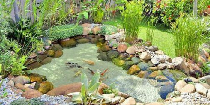 Tư vấn, thiết kế tiểu cảnh sân vườn cá với giá hấp dẫn tại BeeSo