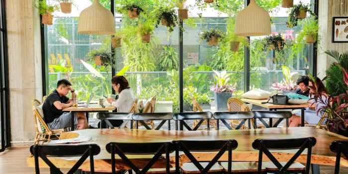 Thi Công Tiểu Cảnh Quán Cafe Với Xu Hướng Sống Xanh Trong Năm 2025