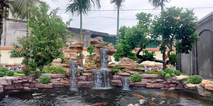 Địa chỉ thiết kế hồ cá Koi ngoài trời giá tốt 2021