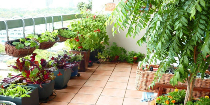 Nguyên tắc thi công tiểu cảnh chung cư đơn giản – hiệu quả bất ngờ