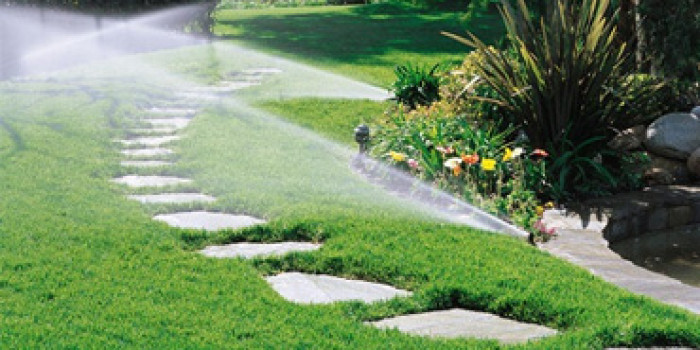 Hệ Thống Tưới Tự Động Sân Vườn