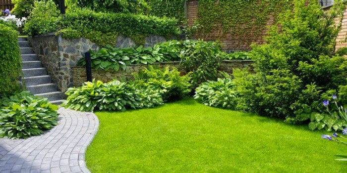 Những chi tiết nên thêm vào khi thi công sân vườn biệt thự Thủ Đức