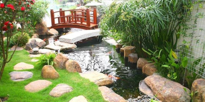 Mẫu hồ cá Koi ngoài trời đẹp – thiết kế phong thủy