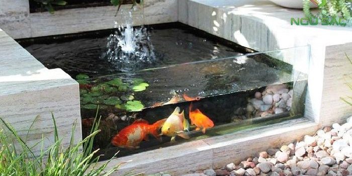 Top 3 mẫu hồ cá Koi mini đẹp không thể bỏ qua