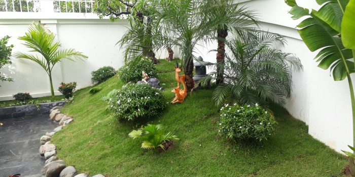 Khám phá dịch vụ thi công sân vườn tiểu cảnh trọn gói tại Tp.HCM
