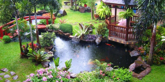Nhận thiết kế và thi công tiểu cảnh Bình Dương trọn gói giá rẻ