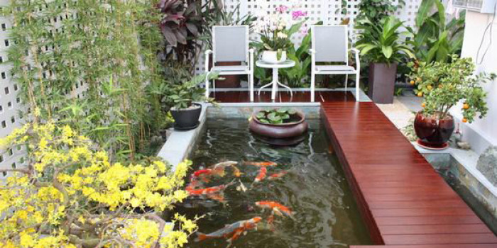 Mẫu hồ cá koi đẹp nhất trên thị trường hiện nay
