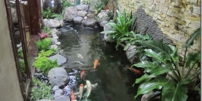 Mẫu hồ cá koi đẹp nhất trong năm 2020