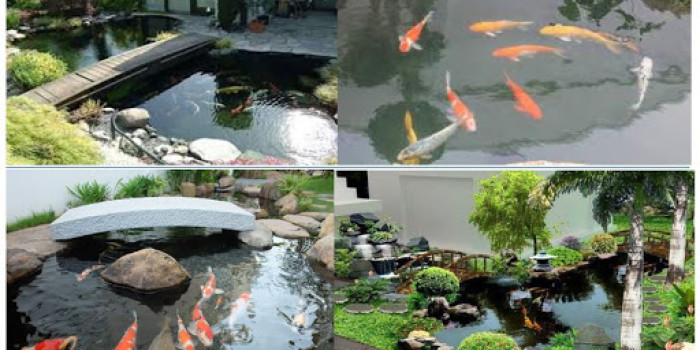 Hồ nuôi cá koi đẹp cho khuôn viên nhỏ – XEM NGAY